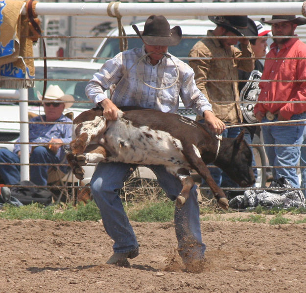 Calf Roping. Photo by Pinedale Online.