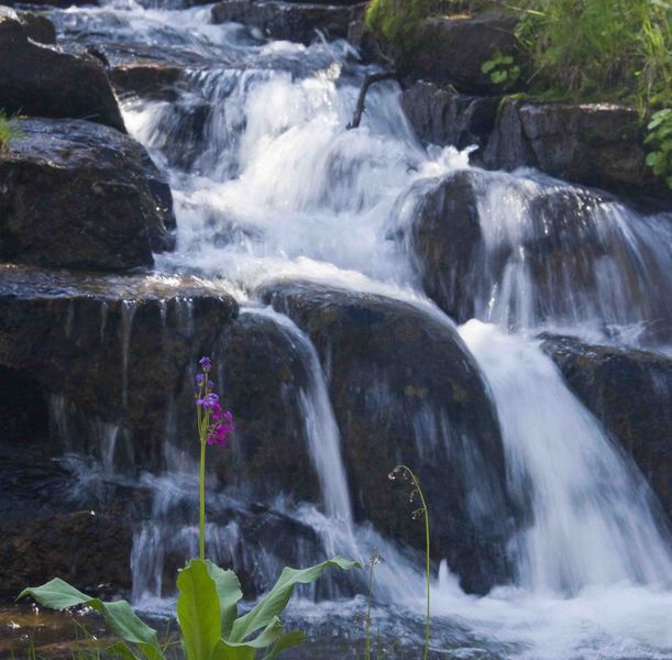 Big Sandy Creek. Photo by Dave Bell.