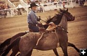 Pick up. Photo by Tara Bolgiano, Blushing Crow Photography.