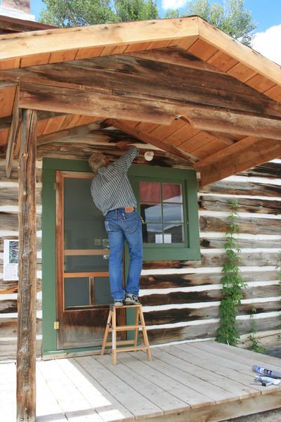 Hiding bats. Photo by Dawn Ballou, Pinedale Online.