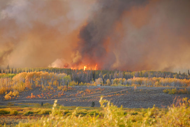 Fire near Thunder Subdivision. Photo by Julie Bain.