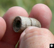 Civil War era bullet. Photo by Dawn Ballou, Pinedale Online.