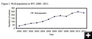 WY wolf population. Photo by FWS.
