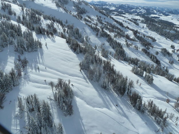 Search terrain. Photo by Tip Top Search & Rescue.