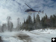 Search helicopter. Photo by Tip Top Search and Rescue.