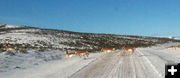 Antelope crossing. Photo by Dawn Ballou, Pinedale Online.