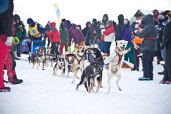 And they are off. Photo by Jess McGlothlin, Pinedale Roundup.