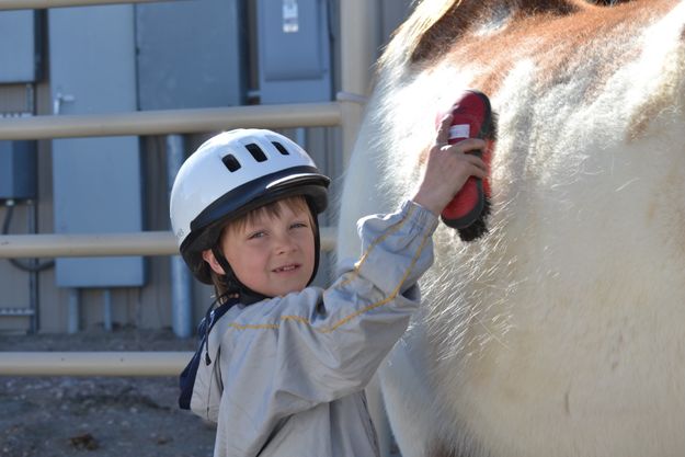 Brushing. Photo by M.E.S.A. Therapeutic Horsemanship.