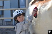 Brushing. Photo by M.E.S.A. Therapeutic Horsemanship.