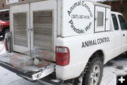 Animal Control. Photo by Dawn Ballou, Pinedale Online.