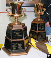 Trophies. Photo by Dawn Ballou, Pinedale Online.