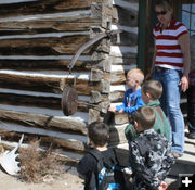 Ringing the dinner bell. Photo by Clint Gilchrist, Pinedale Online.