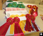 Ribbons. Photo by Dawn Ballou, Pinedale Online.