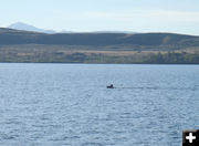 Fremont Lake Nessie. Photo by Sam Drucker.