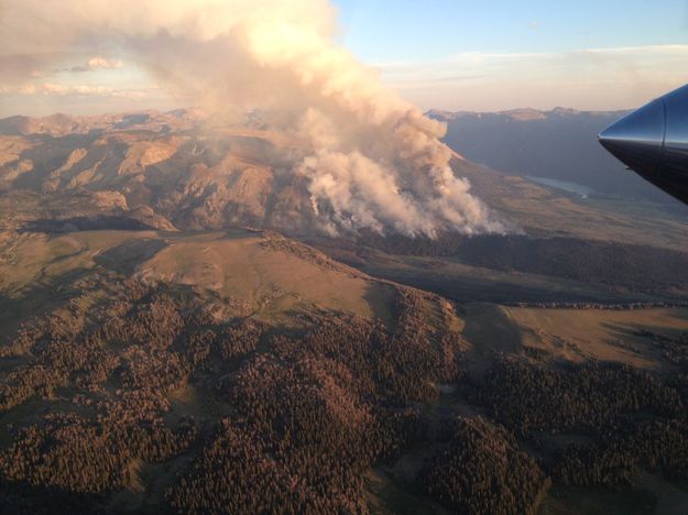 Green Fire. Photo by Bridger-Teton National Forest.