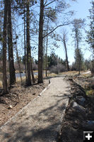 Trail. Photo by Dawn Ballou, Pinedale Online.