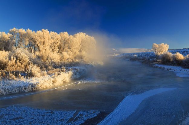 Morning sunlight. Photo by Dave Bell.