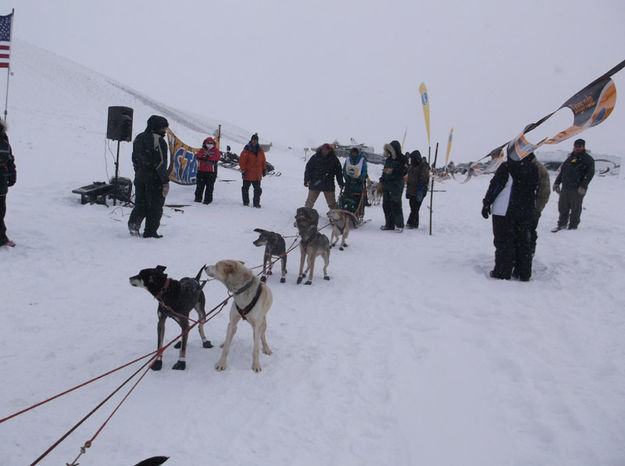 Big Piney start line. Photo by Joy Ufford.