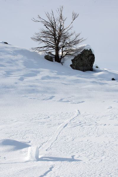 Path down the hill. Photo by Arnold Brokling.