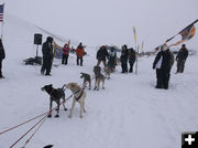 Big Piney start line. Photo by Joy Ufford.