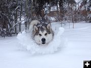 Let's play!. Photo by Larry McCullough.