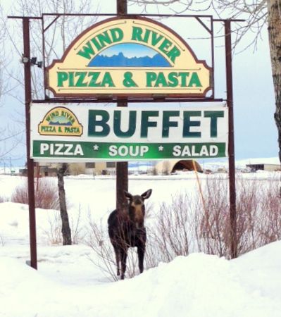 Pizza Moose. Photo by Emi Domoto-Reilly, Rivera Lodge.