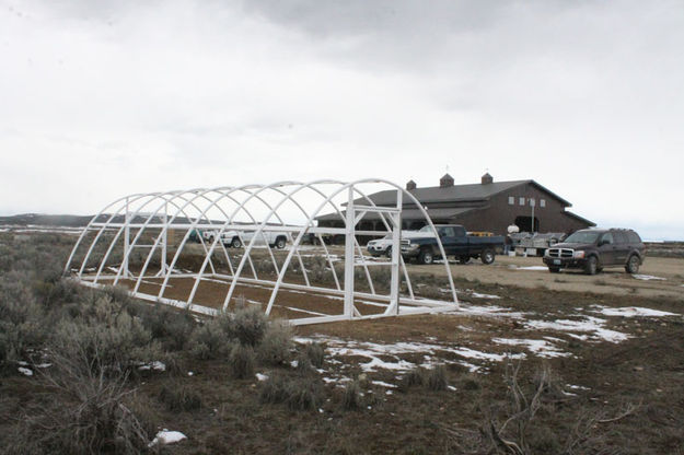 Greenhouse. Photo by Dawn Ballou, Pinedale Online.