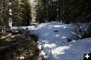 Snow and wet trails. Photo by Dave Bell.