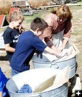 Hand wash laundry. Photo by Clint Gilchrist.