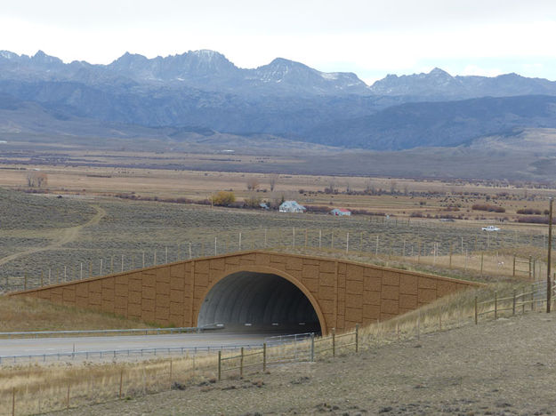 Wildlife Overpass. Photo by Dawn Ballou, Pinedale Online.