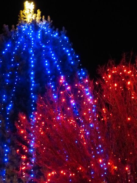 Holiday lights. Photo by Dawn Ballou, Pinedale Online.