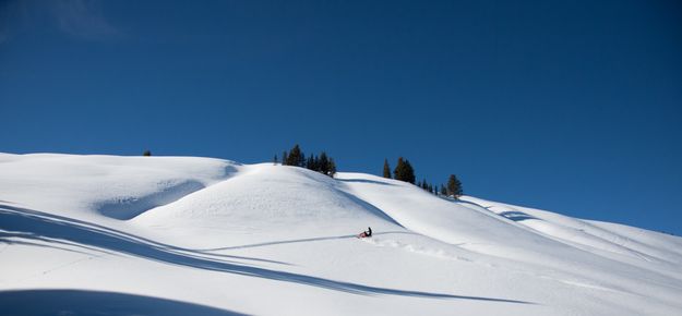 All to himself. Photo by Arnold Brokling.