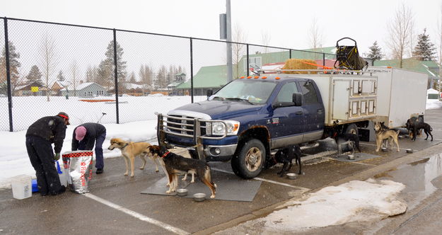 Taking care of the pups. Photo by Terry Allen.