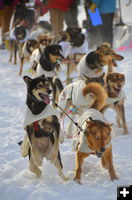 Ready to run. Photo by Terry Allen.