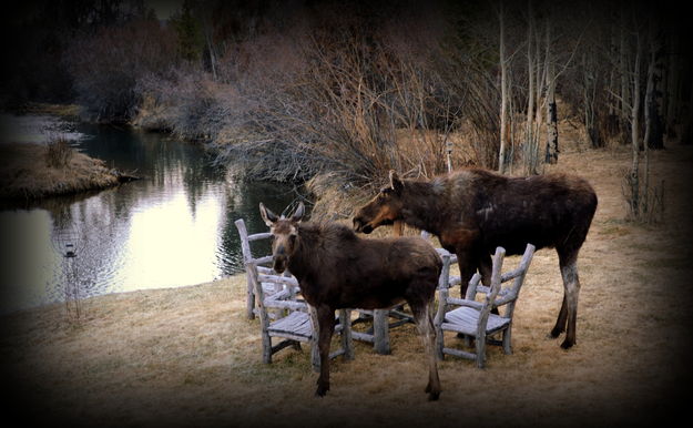 Dinner guests. Photo by Terry Allen.