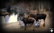 Dinner guests. Photo by Terry Allen.