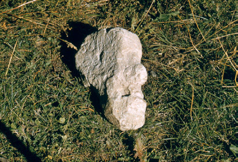 Colter Stone. Photo by Grand Teton National Park.