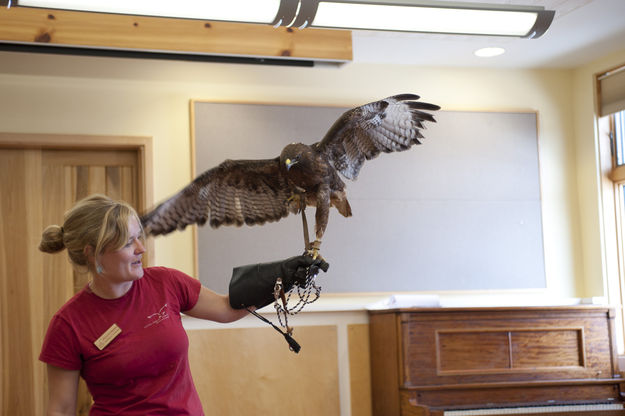 Raptors in Big Piney. Photo by Tyler Foster.