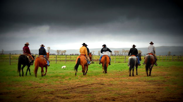 Heading to the branding site. Photo by Terry Allen.