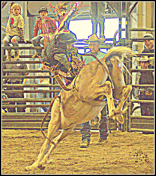 Bronc Riding. Photo by Terry Allen.