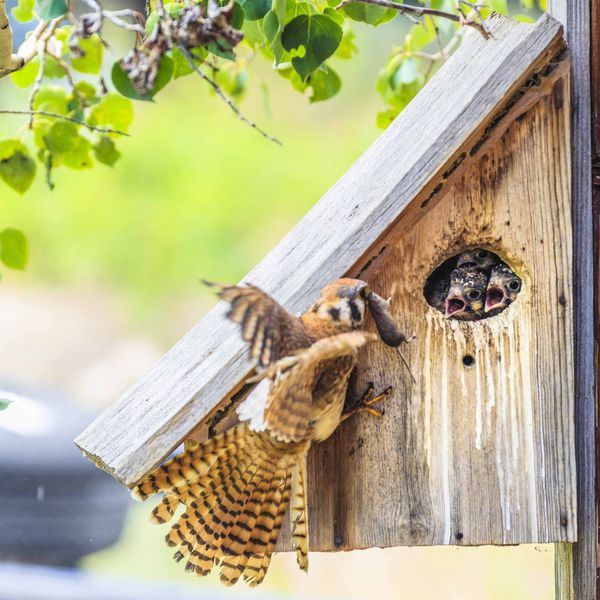 Dinner. Photo by Dave Bell.