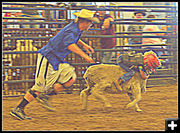 Mutton Busting. Photo by Terry Allen.