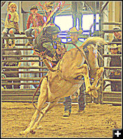 Bronc Riding. Photo by Terry Allen.