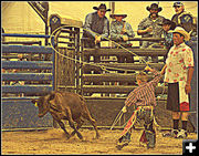 Calf Roping. Photo by Terry Allen.