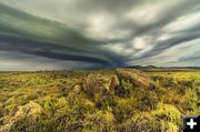 Shelf Cloud. Photo by Dave Bell.