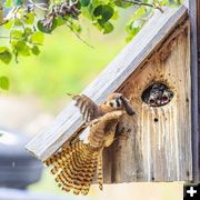 Dinner. Photo by Dave Bell.