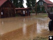 Flood at the Homestead. Photo by Jonita Sommers.