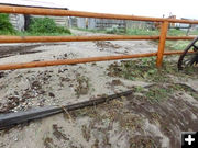 Water and mud. Photo by Dawn Ballou, Pinedale Online.