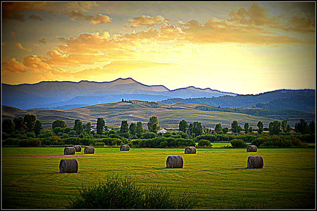 Bondurant Hay Field. Photo by Terry Allen.