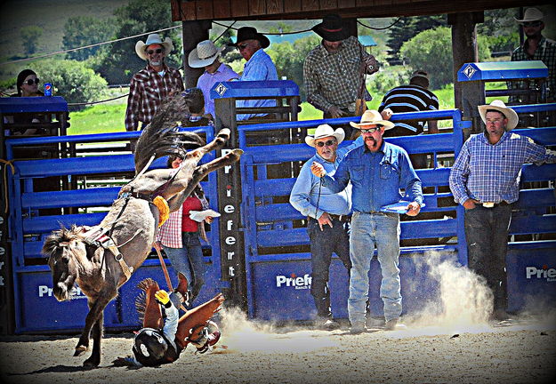 Bucked off. Photo by Terry Allen.